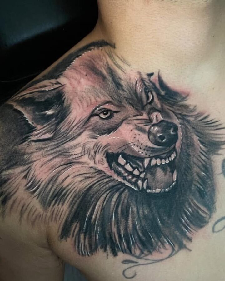 Black and grey wolf portrait tattoo on the chest